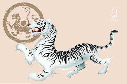 八字里白虎是什么意思 八字白虎好不好